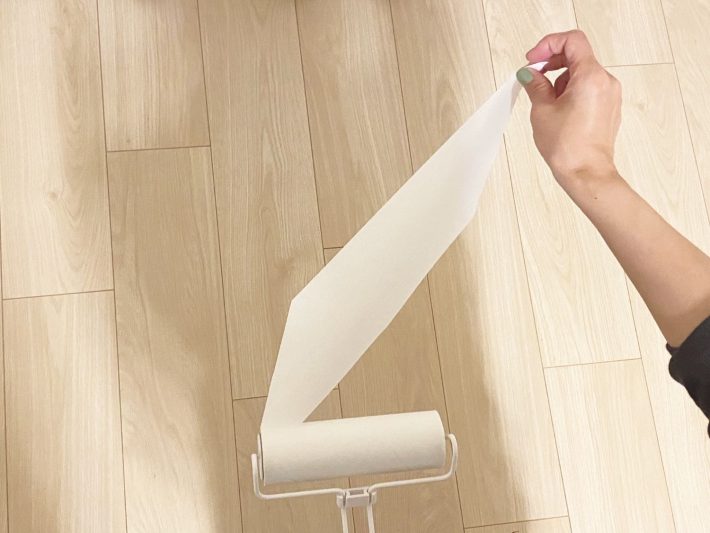 カインズ「ケースが要らない ワイヤーフレーム カーペットクリーナー」