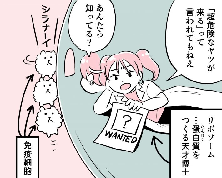 covinavi_01 - kashihana satocatch