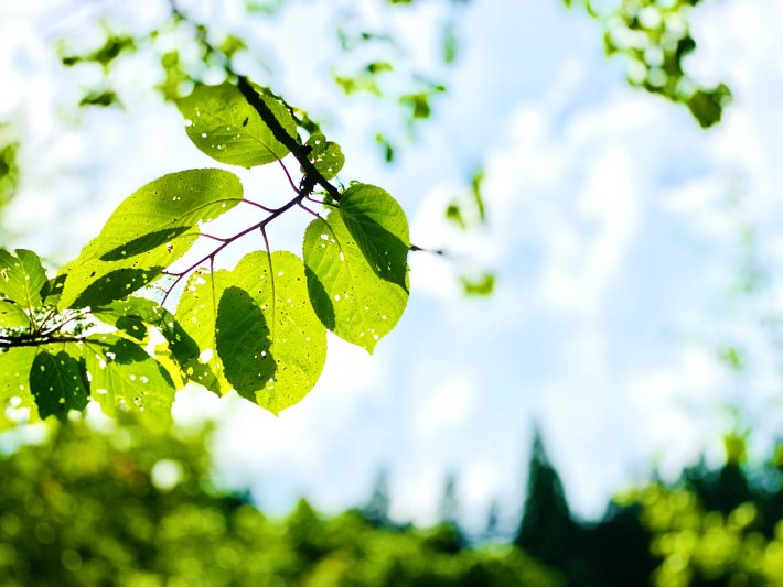 美容師も介護の仕事も似ている