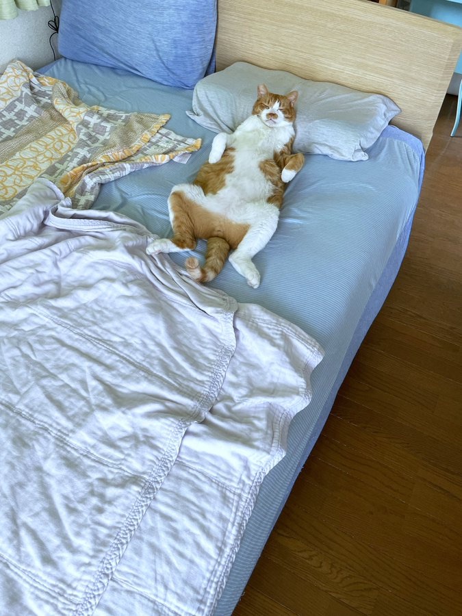 きもちよさそ〜。開放感満載なおっぴろげ姿