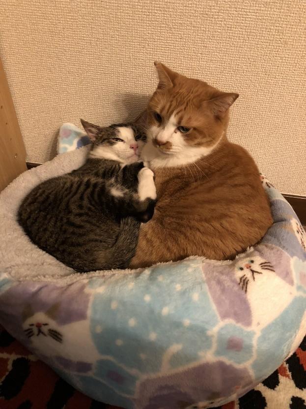 一番年下のことくんに寄り添うマナくん