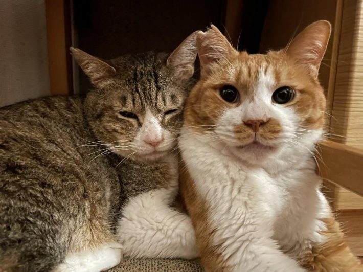 マナくんに心を許しているボスくん