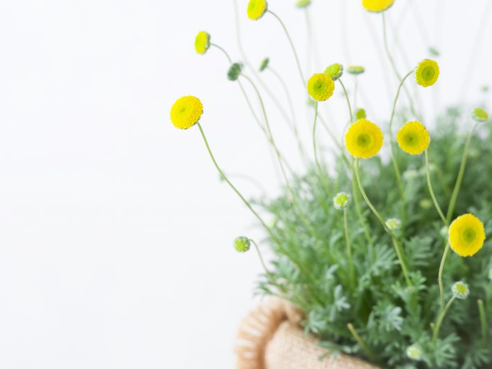 二日酔いのせい？ それとも…