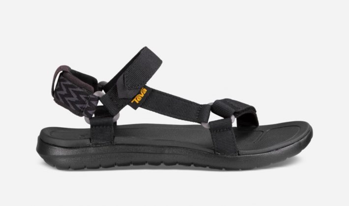 〈TEVA〉SANBORN UNIVERSAL