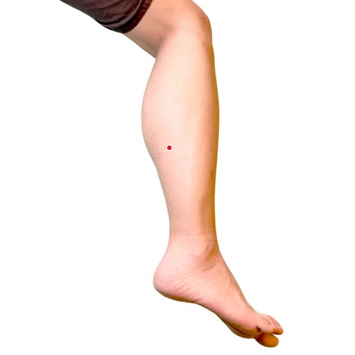 頬の肌荒れが気になるときのツボ