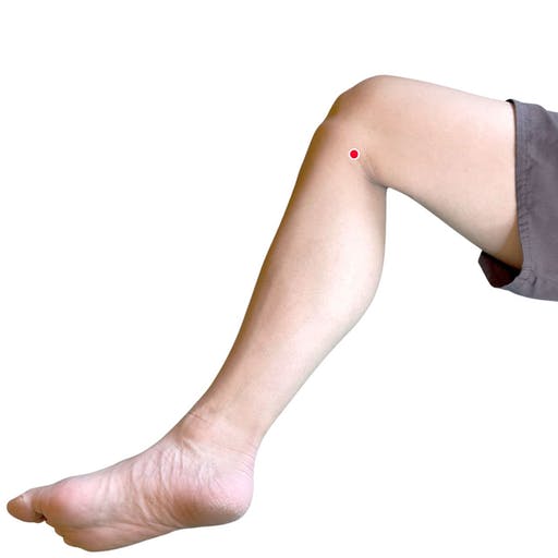 頭頂部の頭痛を感じたときのツボ