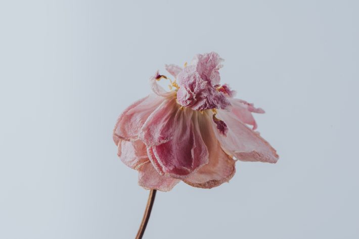 不倫する女性はなんだかみんな幸が薄い