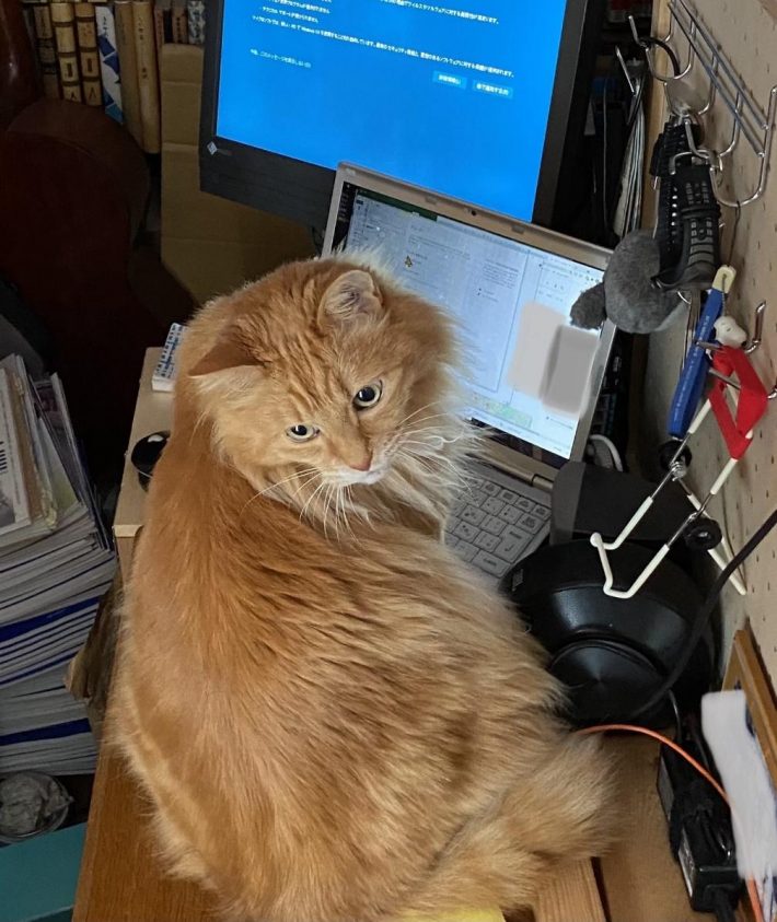 代わりにお仕事を進めてくれることも……！