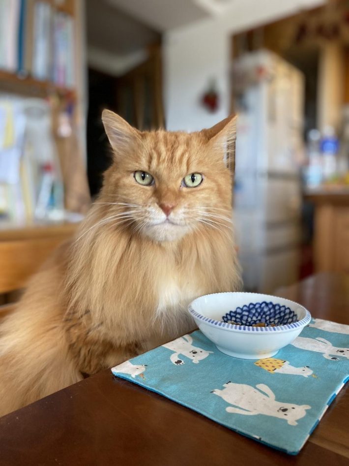 イスに座るピョンタくん