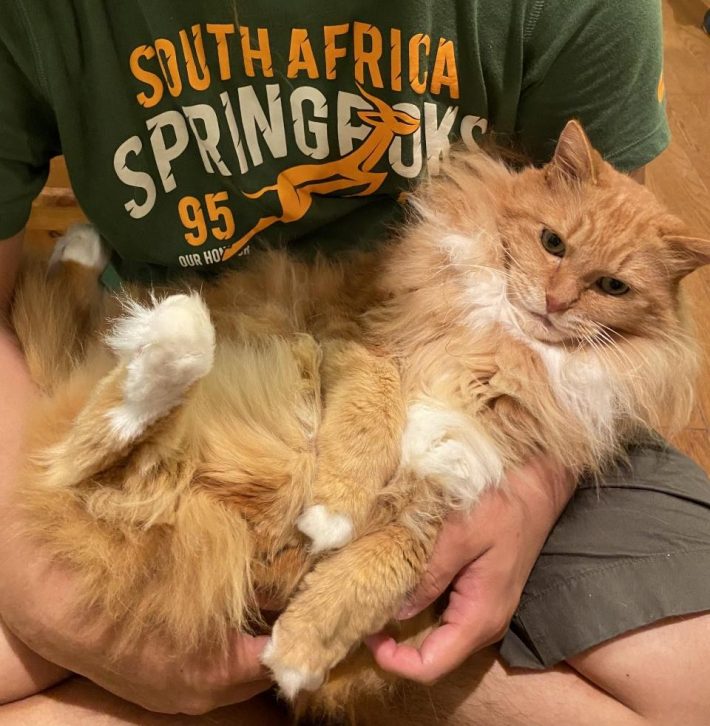 息子さんとも仲良しなピョンタくん