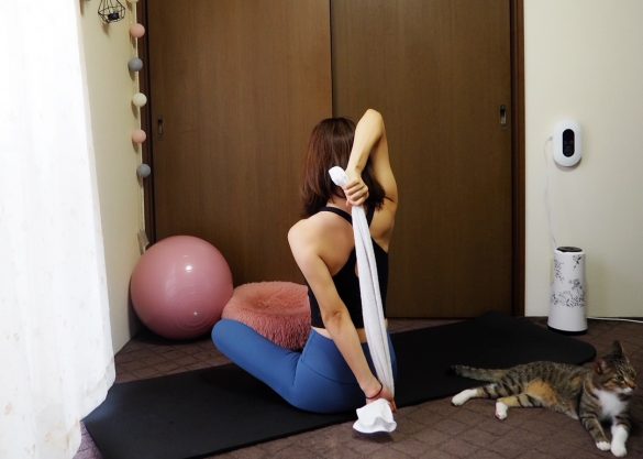 余裕がある場合2：左ひじを伸ばして引き下げてみましょう。