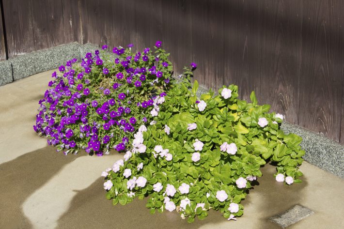 詰め寄るも衝撃の事実に涙