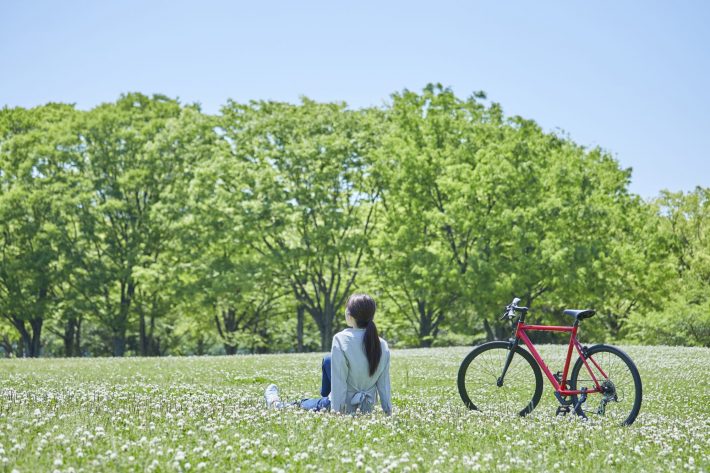 自然　植物　木　サイクリング　自転車