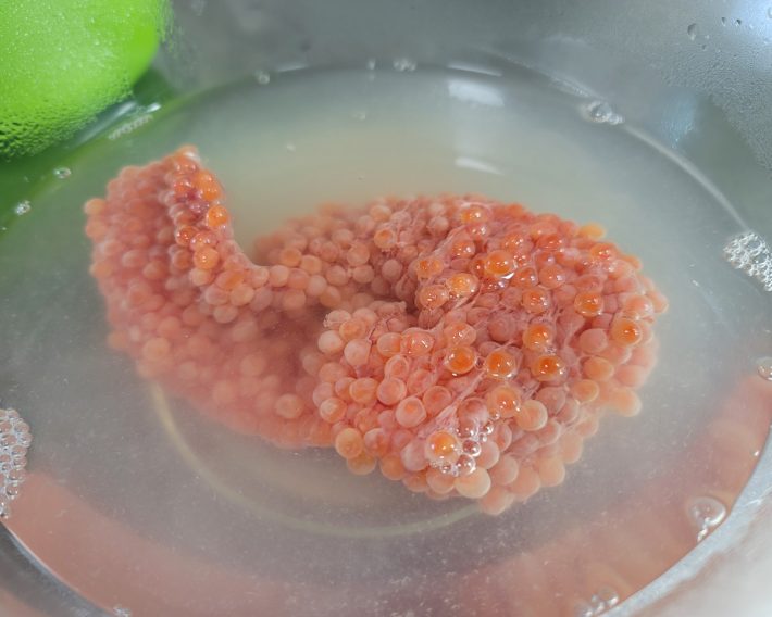 膜が縮んで白くなる