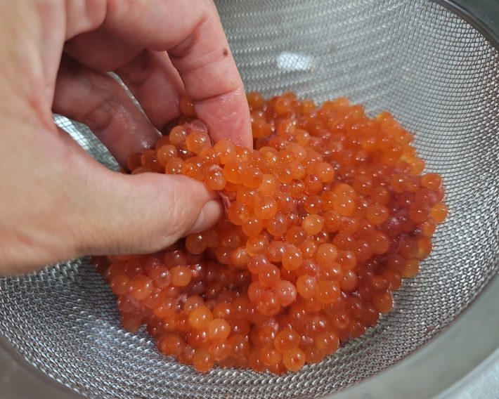 ほぐした卵をザルでキャッチする状態にすれば、余分な水分を取り除ける