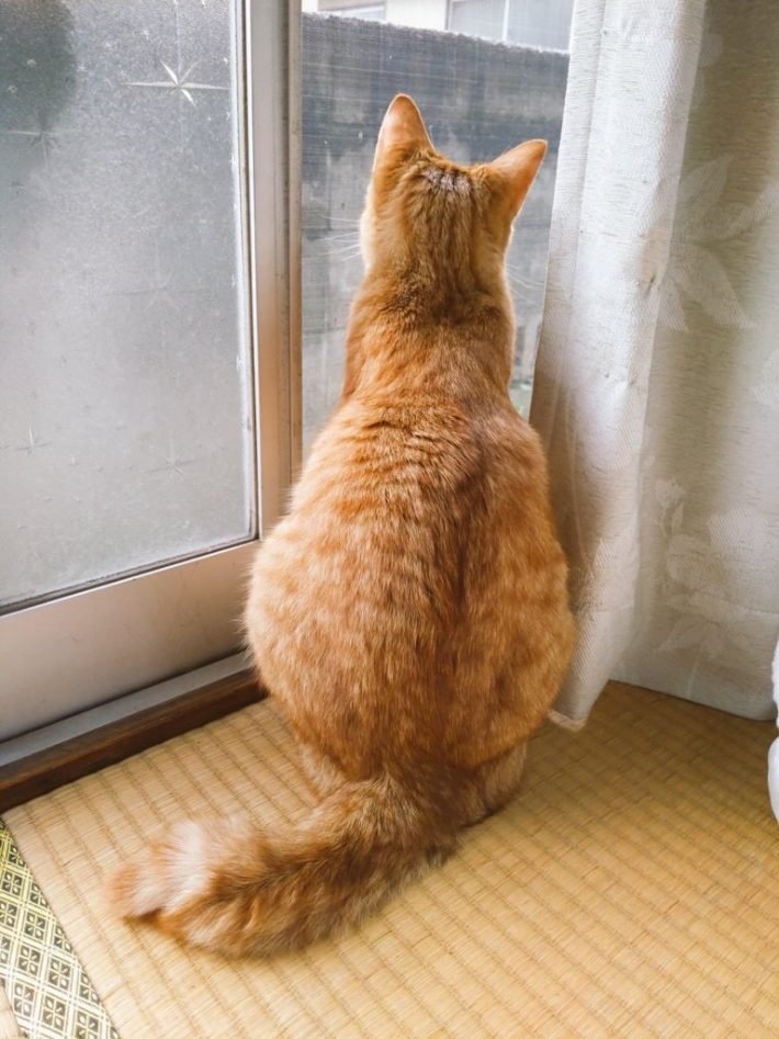 外には危険がいっぱい