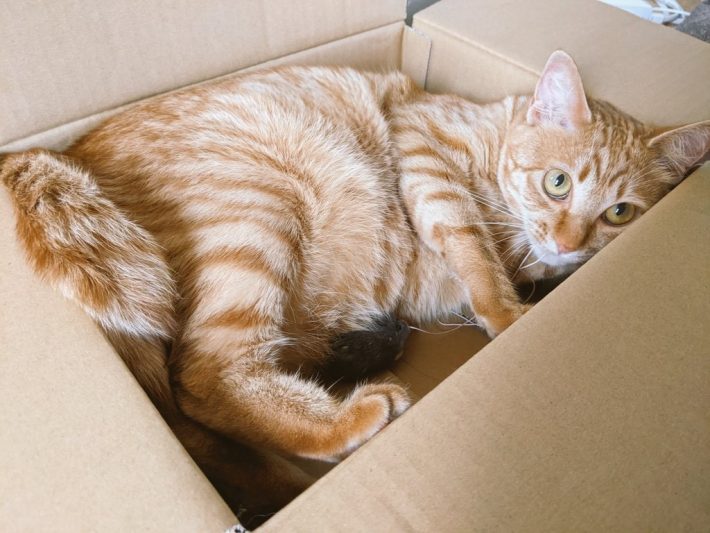 すっかり警戒心も解け…