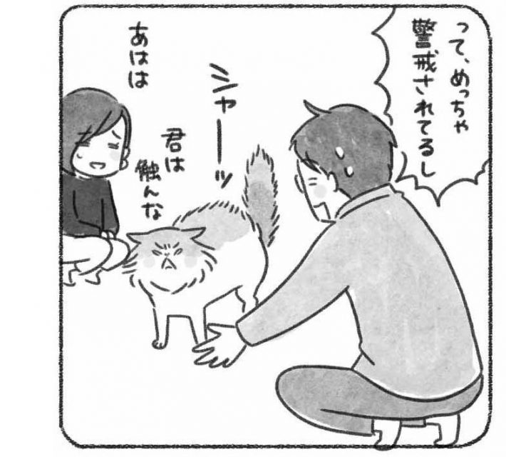 『ネコからの人生相談　ニャンとかなりませんか？』キャッチ