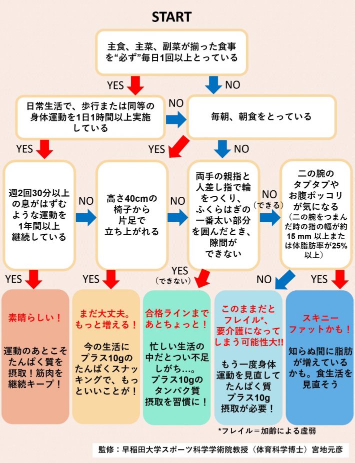スキニーファットチェック表