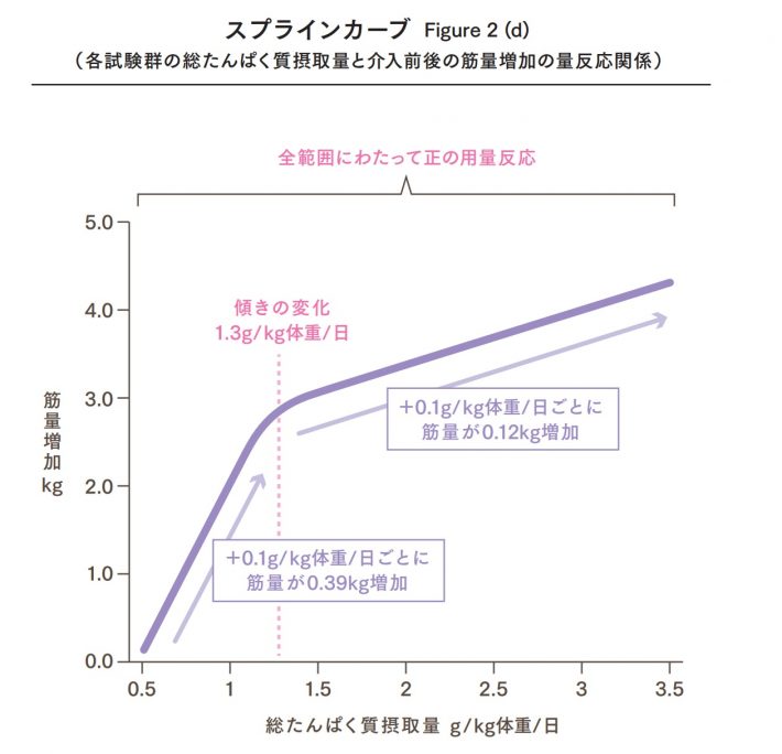 たんぱく質摂取量と筋肉量増加との用量反応関係