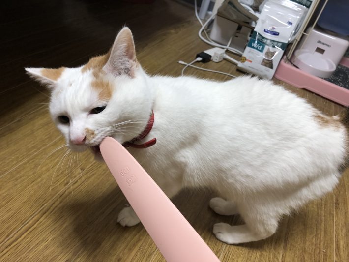 先端が細くなっている方が顔周り用