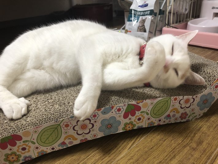 ベッドにごろん