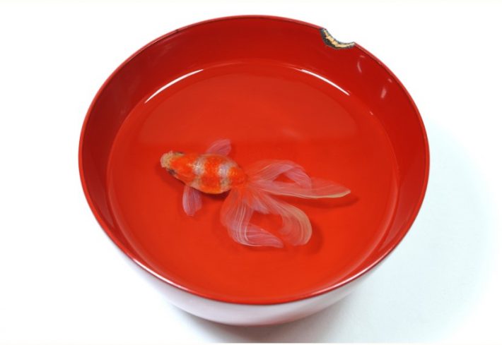 丹塗り椀 更紗2011年