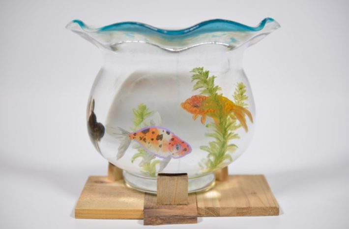 ハーフ・ユニバース　2018年