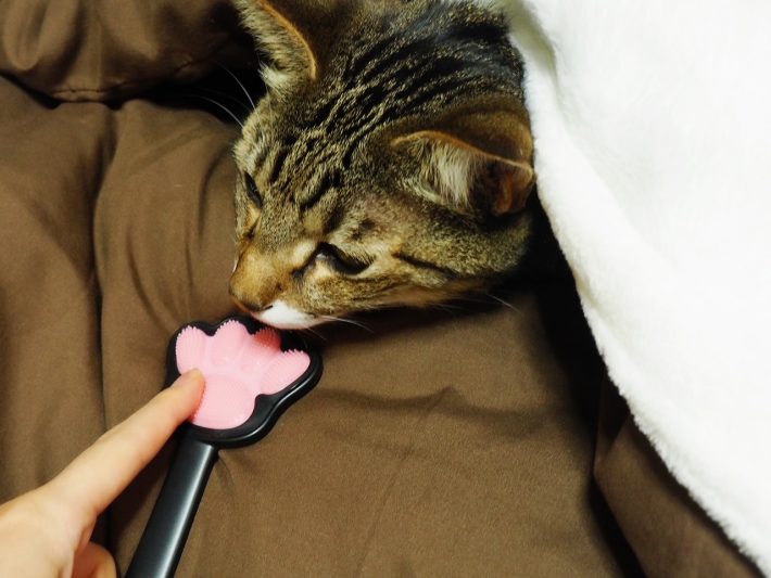 肌を傷つけずに使うことができそう