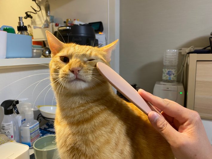 顔はちょっと嫌そう