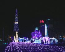 札幌（札幌・テレビ塔とホワイトイルミネーション）