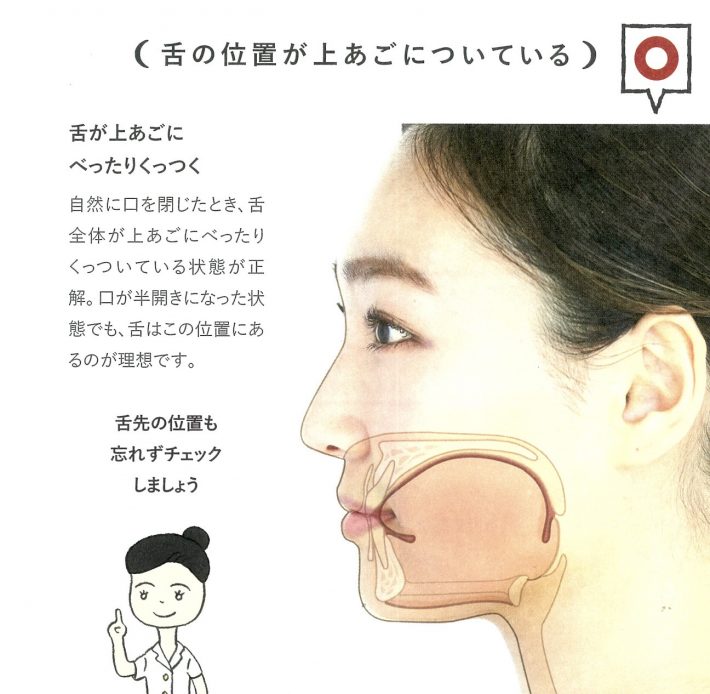 正しい舌の位置