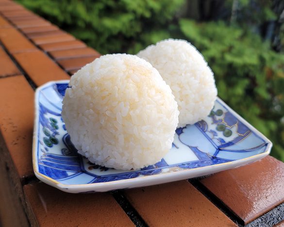 お弁当はおにぎり2個だけ 遠足ルールに物議 最高のおにぎり弁当を作ってみた 女子spa ページ 2 お弁当はおにぎり2個だけ 遠足ルールに物議 最高のおにぎり弁当を作ってみた 女子spa ページ 2