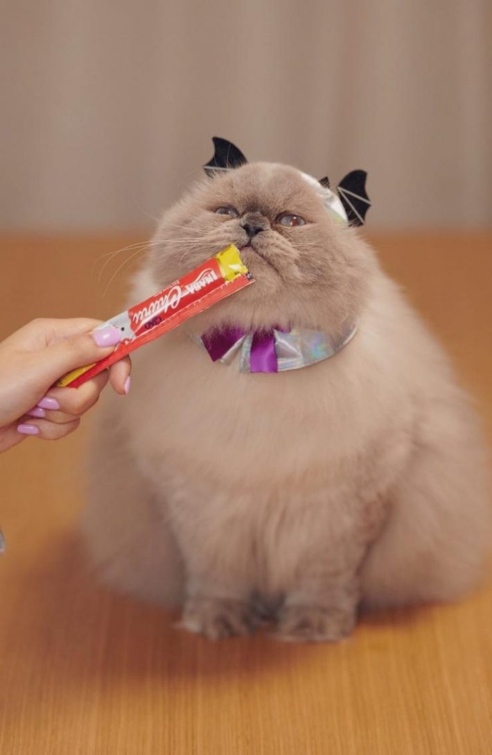 フォルムが最高…！