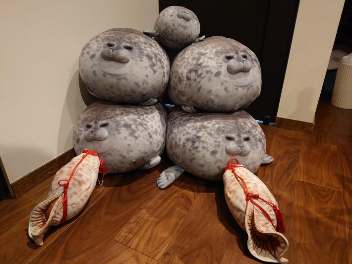 筆者所有の海遊館アザラシのユキちゃんたちとほら貝のペットボトルケース