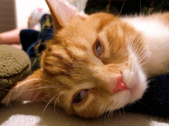 衝撃的な白目（？）フェイス