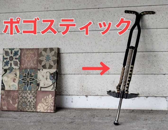 A. ポゴスティック