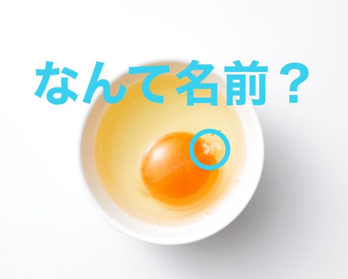 Q. 卵の黄身についてる“白いひも”の名前は？