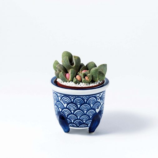 3000円以下で買ってよかったモノ