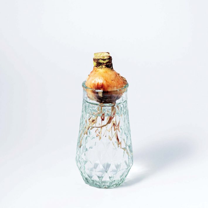 3000円以下で買ってよかったモノ