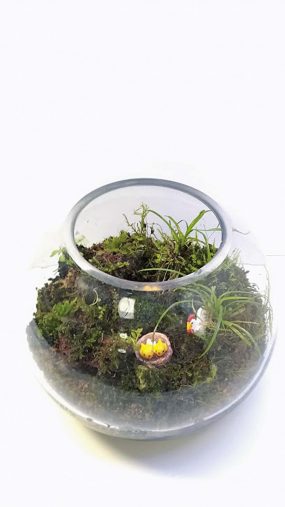 3000円以下で買ってよかったモノ