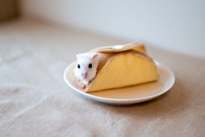 まるごとバナナになっちゃった！