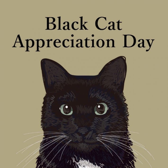 黒猫感謝の日に描いたイラスト