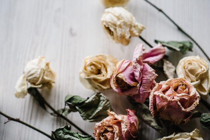 遠距離恋愛中に彼が浮気