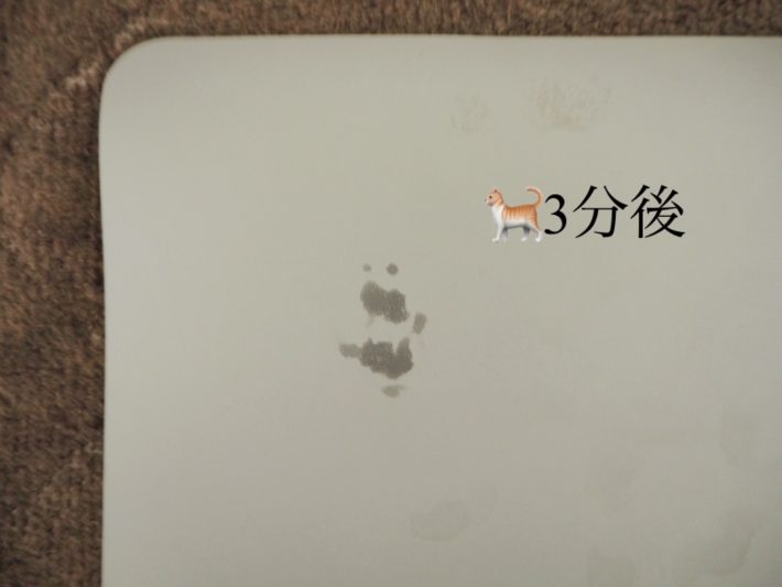 珪藻土パウダー入りバスマット