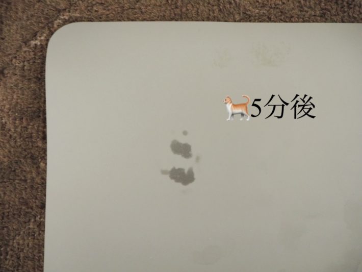 珪藻土パウダー入りバスマット