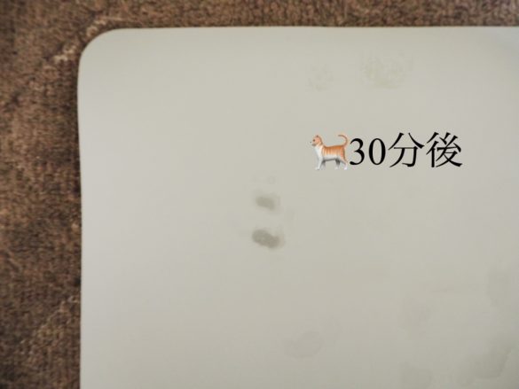 珪藻土パウダー入りバスマット