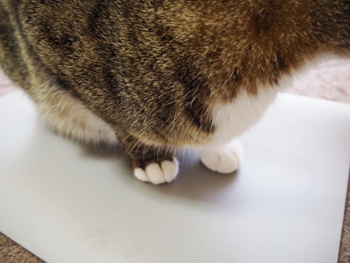 珪藻土パウダー入りバスマット