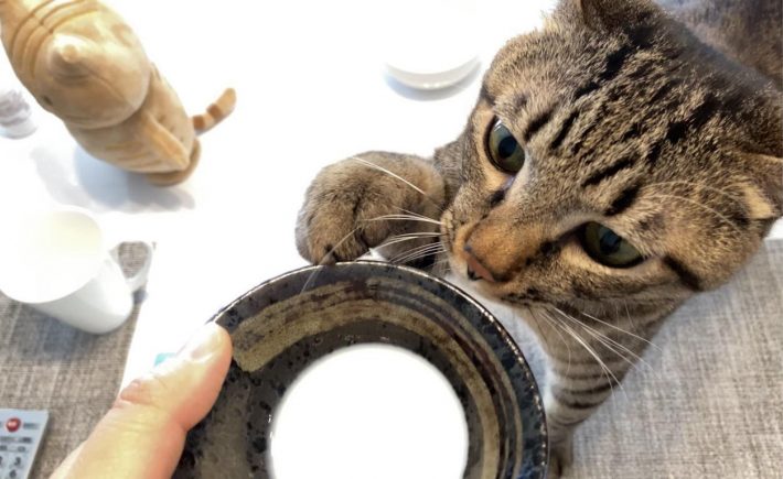 牛乳を前にして手がウズウズ