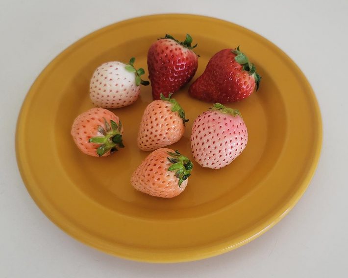 最近ではスーパーでもさまざまな品種が出回るようになっています